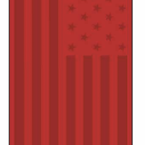 Telo Mare in Spugna U.S. Polo 